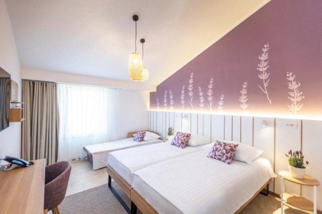 Olivaszüret a szlovén tengerparton