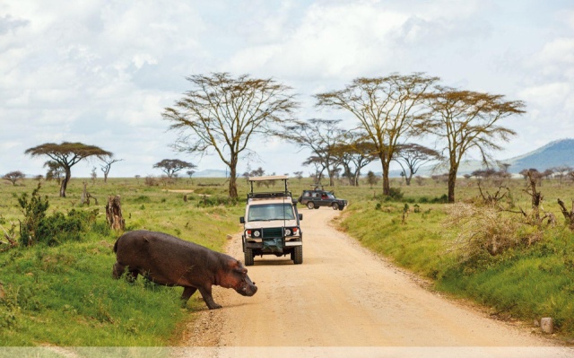 Serengeti szafari program pihenéssel Zanzibár szigetén - csoportos körutazás és nyaralás 2026