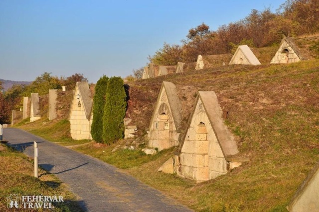 Zempléni várak, történelmi emlékek, borvidékek barangolás Magyarország egyik legvonzóbb vidékén