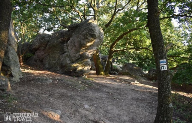 Kulturális örökségek és természeti csodák a Bakonyban és környékén csillagtúra egy sümegi wellness s