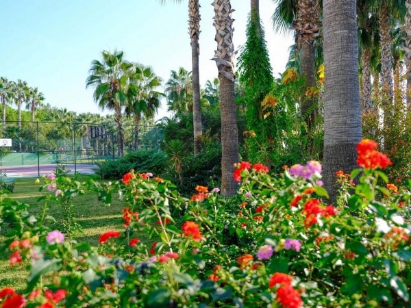 Royal Atlantis Beach Hotel ****