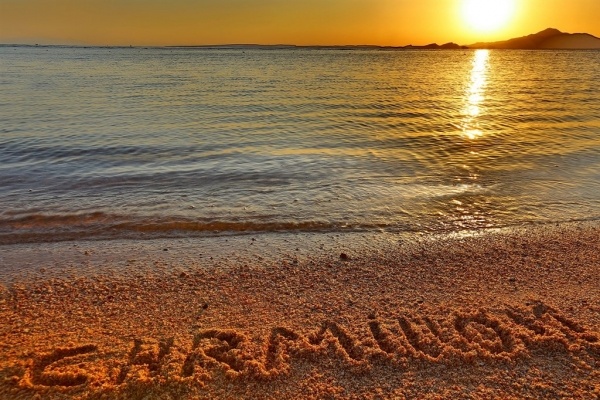 Charmillion Sea Life (ex. Sea Life) ****, Egyiptom