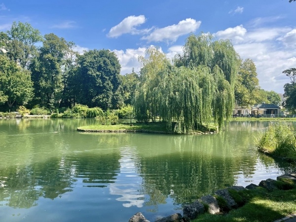 Badeni rózsák és a Laxenburg kastély