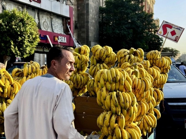 Siwa, a lélek oázisa