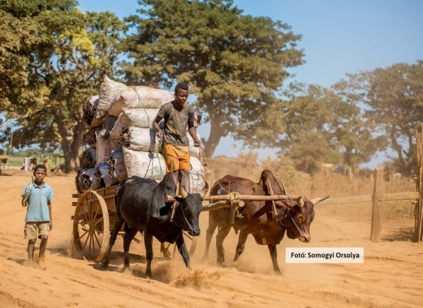 Madagaszkár, a nyolcadik kontinens - 18nap ***