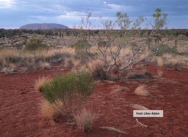 Ausztrália és Új-Zéland körutazás