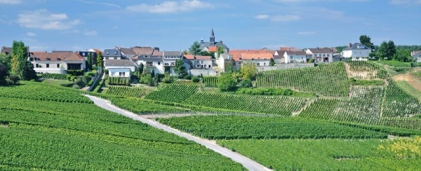 Champagne a pezsgő és kultúra hazája ***