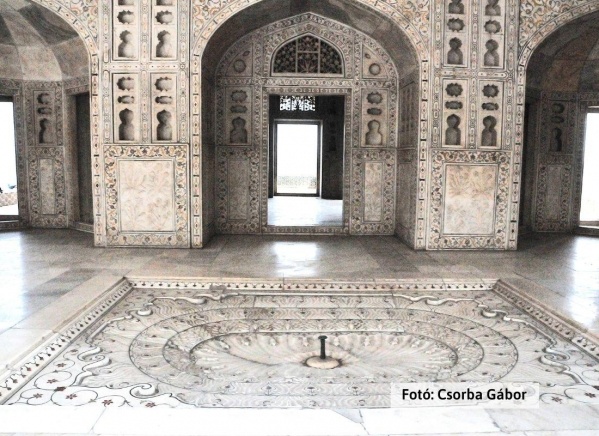 Tigris- és nagyvad szafari