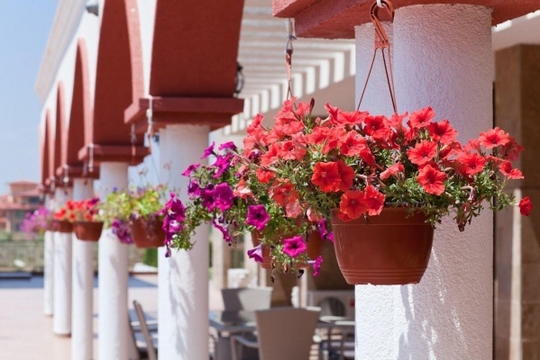 St.George Palace Resort & Spa ***