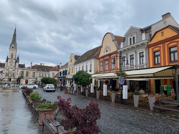 Rhododendron virágzás köszegi és soproni sétával