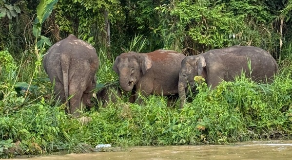 Délkelet-Ázsia Arcai