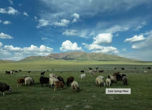 Kazahsztán és Kirgizisztán