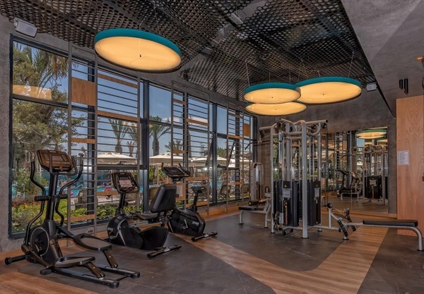 Calyptus Kirman Premium *****