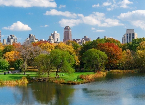 New York City haladóknak ***