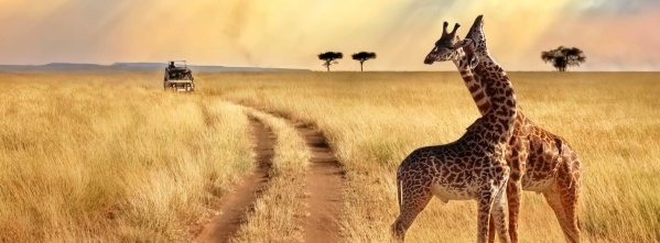 Szafari Tanzániában, zanzibári pihenéssel ****